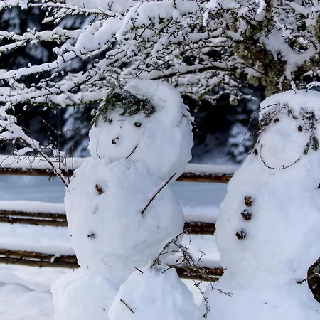 Naturpark Hütte Mandl, Biobauernhof&hüttenurlaub Sankt Lambrecht