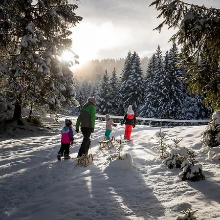 Ferienhaus Naturpark Hütte Mandl, Biobauernhof&hüttenurlaub Sankt Lambrecht