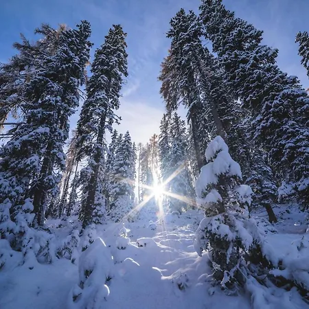 Naturpark Hütte Mandl, Biobauernhof&hüttenurlaub Ferienhaus