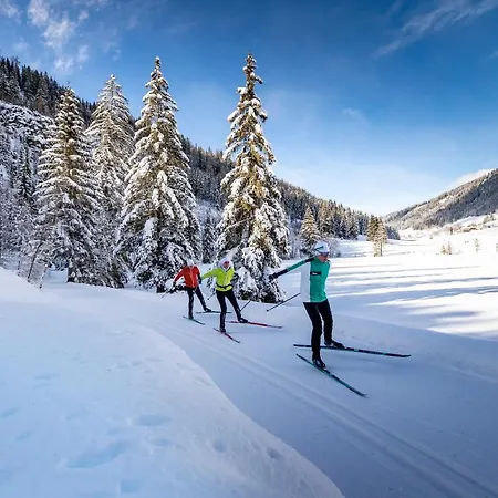 Naturpark Hütte Mandl, Biobauernhof&hüttenurlaub Ferienhaus Sankt Lambrecht