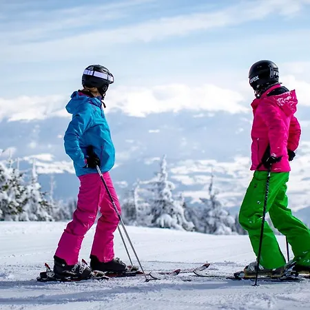 Naturpark Hütte Mandl, Biobauernhof&hüttenurlaub Ferienhaus