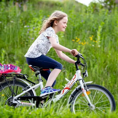 Vakantiehuis Naturpark Huette Mandl, Biobauernhof & Huettenurlaub
