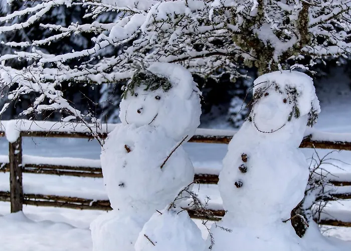 Naturparkhuette Mandl Sankt Lambrecht
