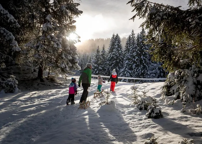 Hébergement de vacances Naturparkhuette Mandl Sankt Lambrecht