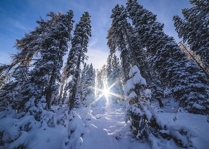 Naturparkhuette Mandl Hébergement de vacances