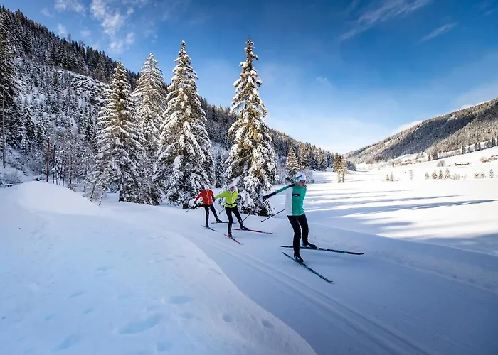 Naturparkhuette Mandl Hébergement de vacances Sankt Lambrecht