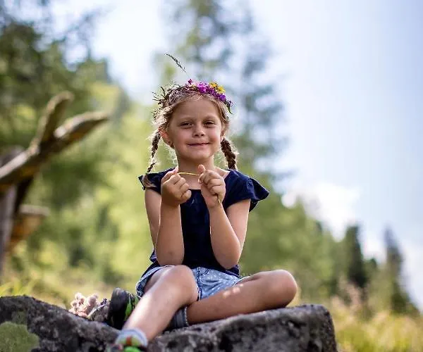 Naturparkhuette Mandl Sankt Lambrecht